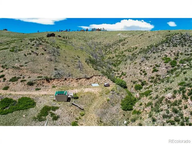 173 Grays Peak Court Livermore, CO 80536
