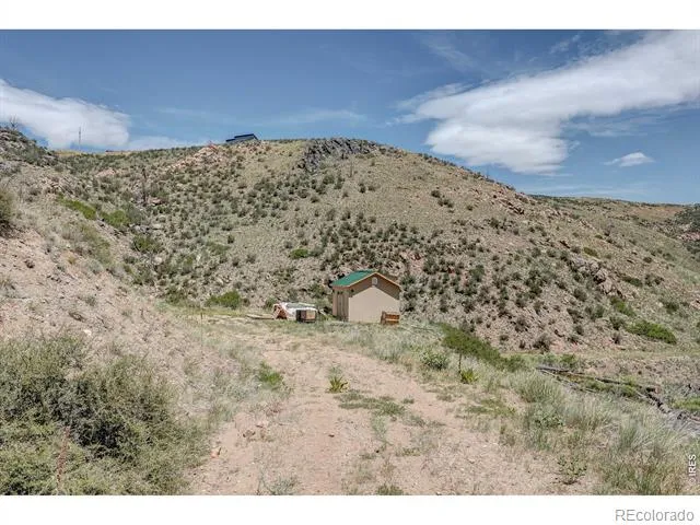 173 Grays Peak Court Livermore, CO 80536