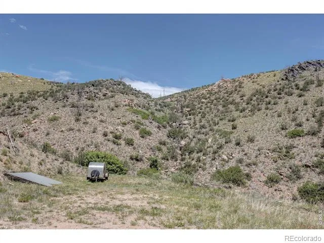 173 Grays Peak Court Livermore, CO 80536