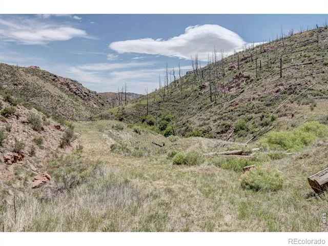 173 Grays Peak Court Livermore, CO 80536