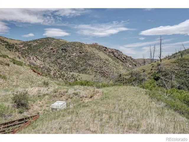 173 Grays Peak Court Livermore, CO 80536