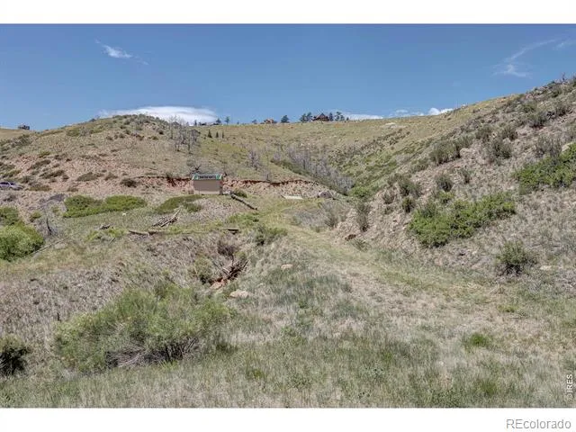 173 Grays Peak Court Livermore, CO 80536