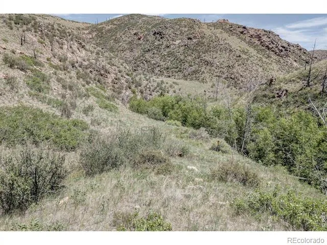 173 Grays Peak Court Livermore, CO 80536