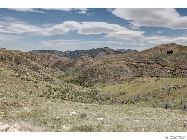 173 Grays Peak Court Livermore, CO 80536