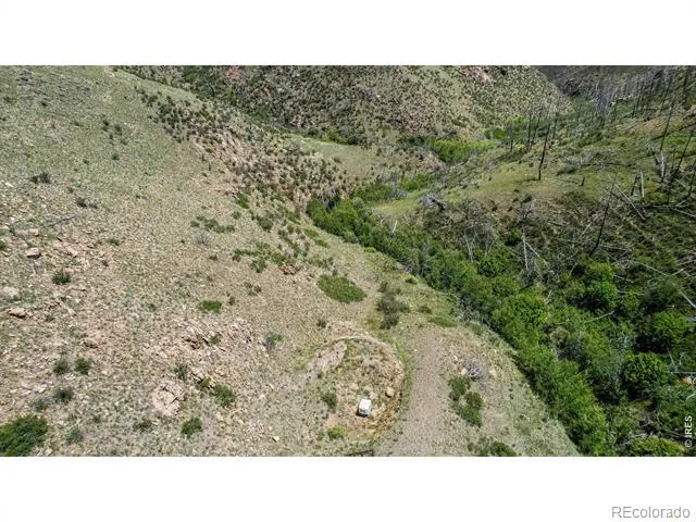 173 Grays Peak Court Livermore, CO 80536