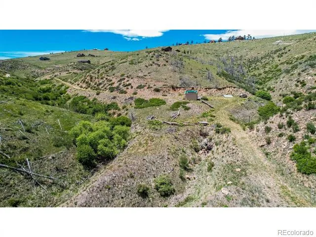173 Grays Peak Court Livermore, CO 80536