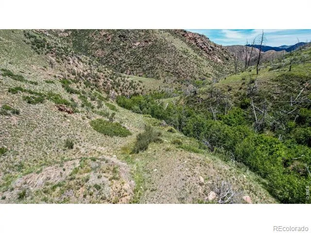 173 Grays Peak Court Livermore, CO 80536