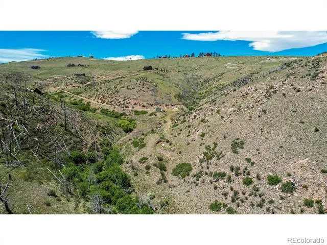 173 Grays Peak Court Livermore, CO 80536