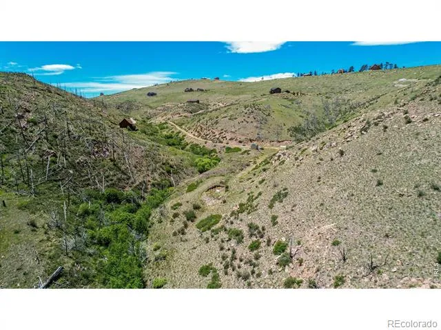 173 Grays Peak Court Livermore, CO 80536