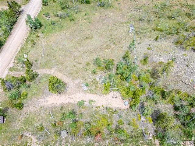 22 Tami Road Red Feather Lakes, CO 80545