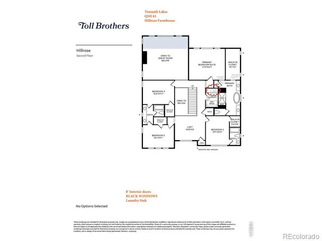 4183 Strolling Street Timnath, CO 80547