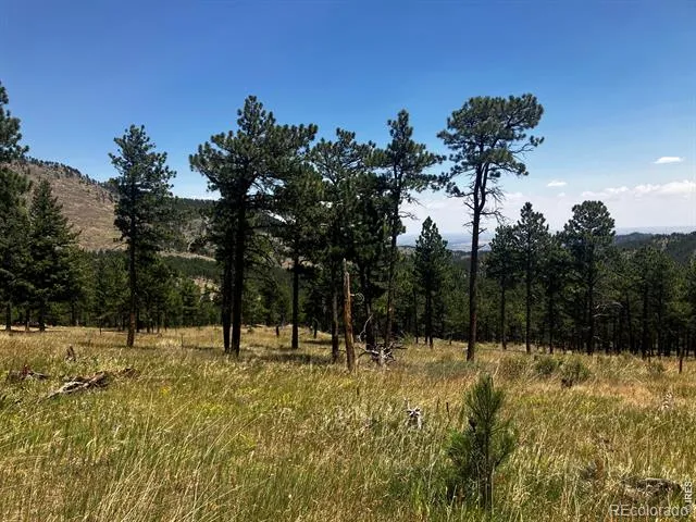 5550 Sunshine Canyon Drive Boulder, CO 80302