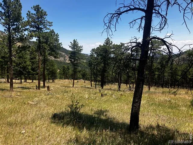 5550 Sunshine Canyon Drive Boulder, CO 80302