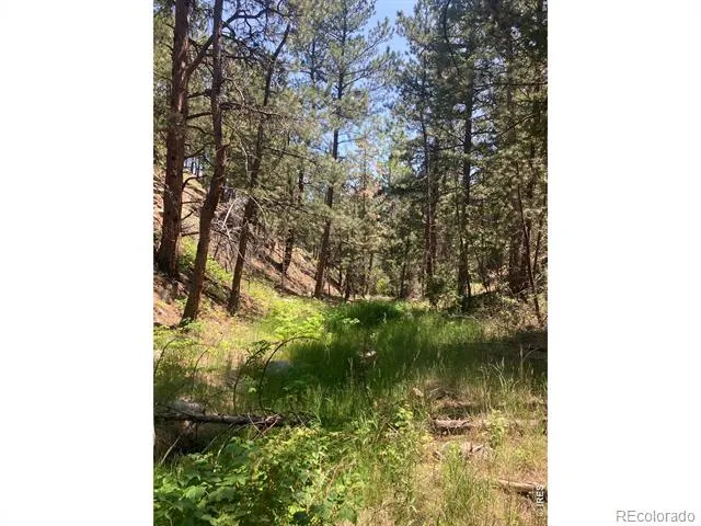 5550 Sunshine Canyon Drive Boulder, CO 80302