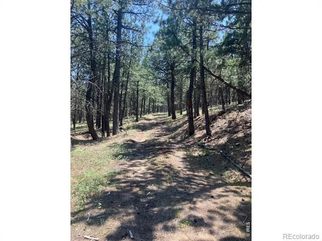 5550 Sunshine Canyon Drive Boulder, CO 80302
