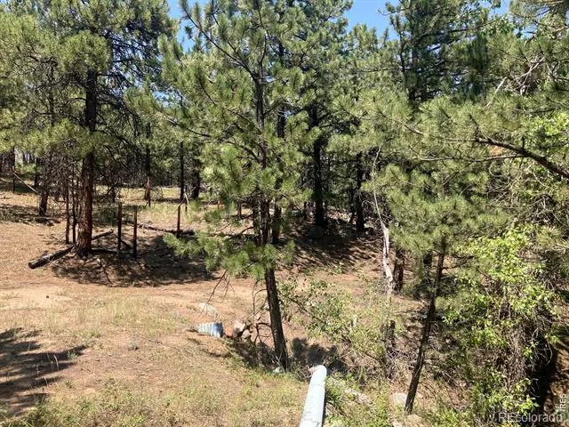 5550 Sunshine Canyon Drive Boulder, CO 80302