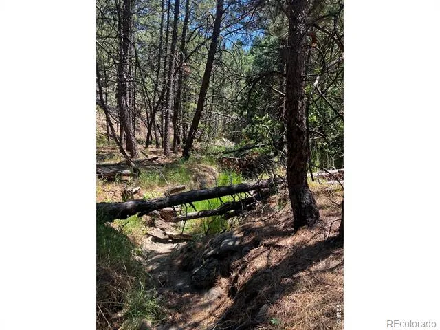 5550 Sunshine Canyon Drive Boulder, CO 80302