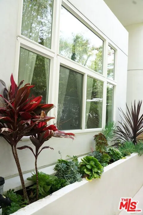 1038 11th Street #D Santa Monica, CA 90403