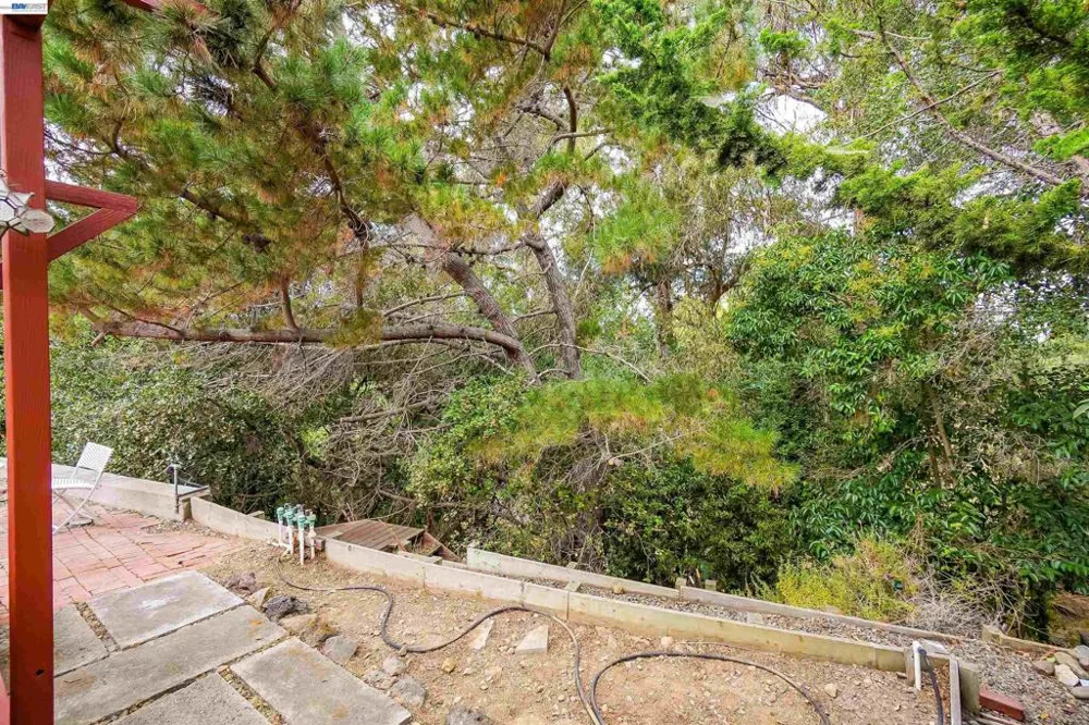 3404 Saddle Dr Hayward, CA 94541