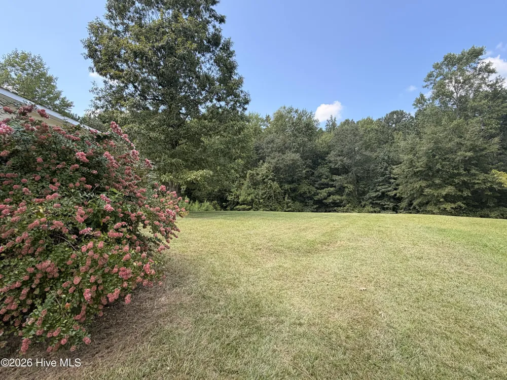 157 Mendover Drive Jacksonville, NC 28546