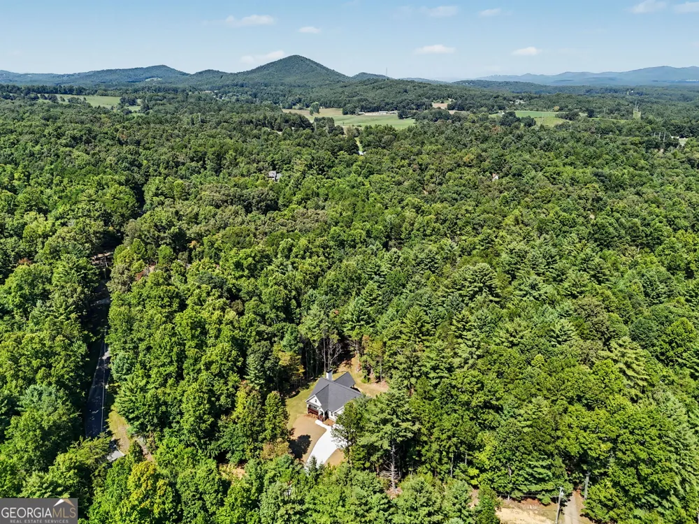 443 Hawks Nest Dr. Blairsville, GA 30512