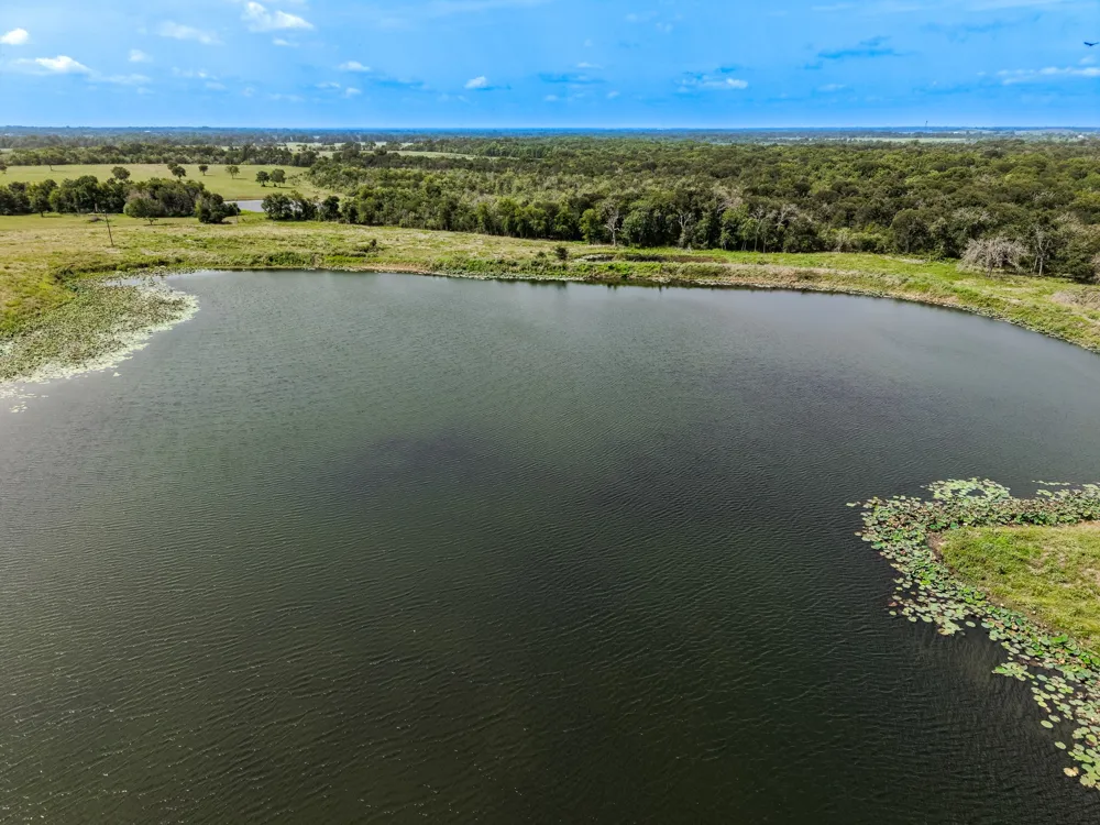 6351 Fm 39 Mexia, TX 76667
