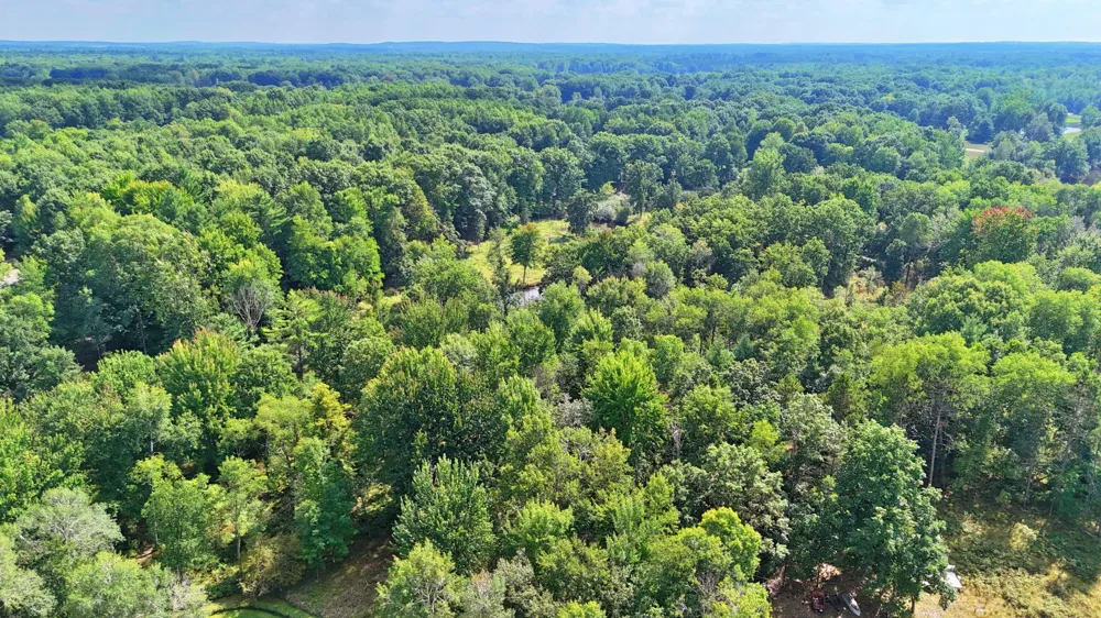 9871 7 Mile Road Morton Township, MI 49346