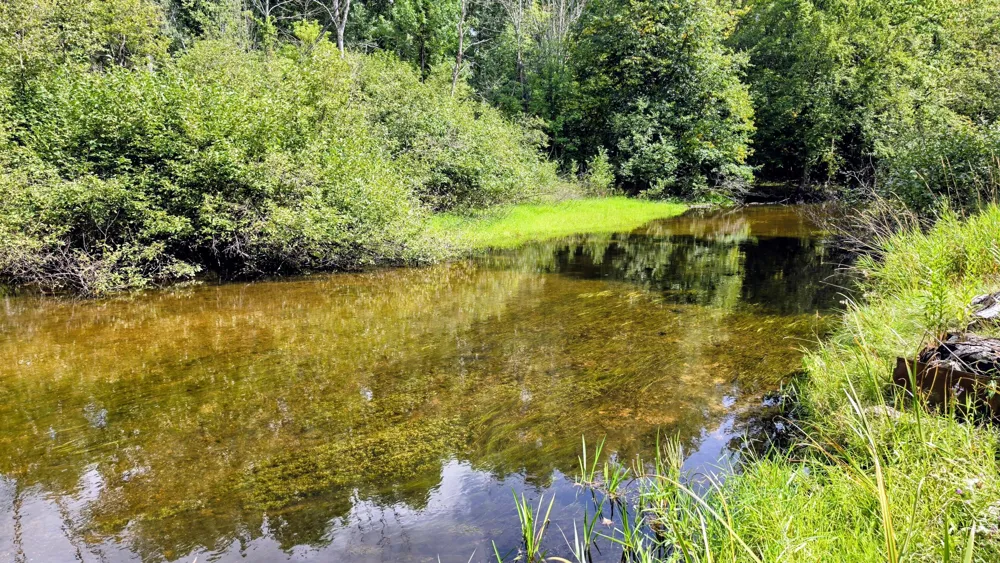 9871 7 Mile Road Morton Township, MI 49346