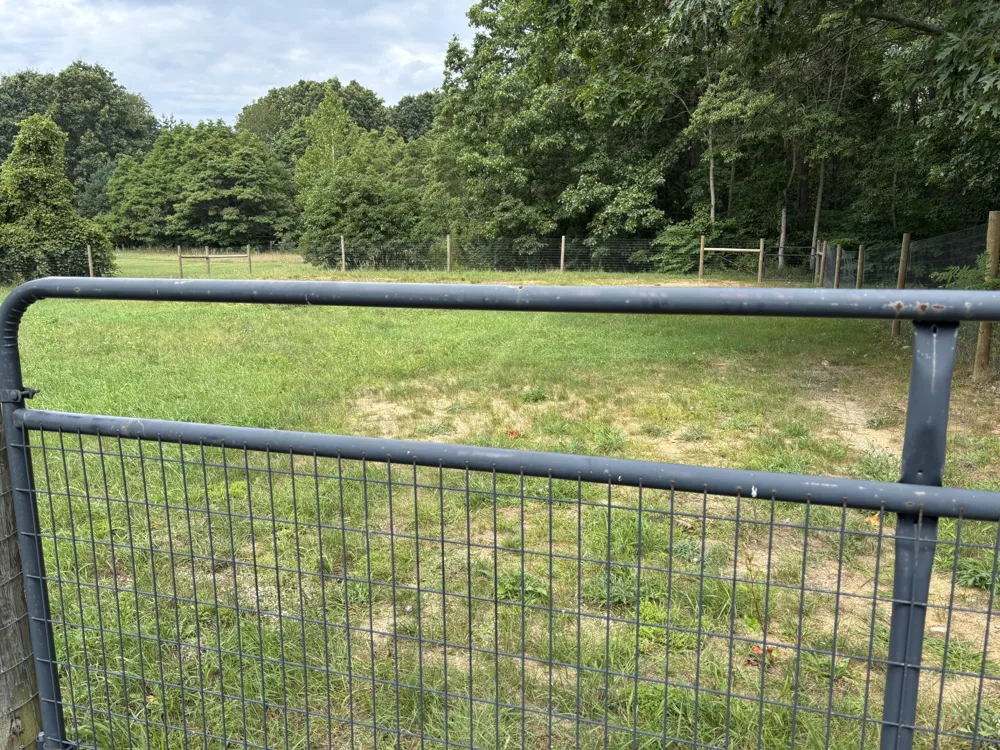 1247 Lincoln Road Allegan Township, MI 49010