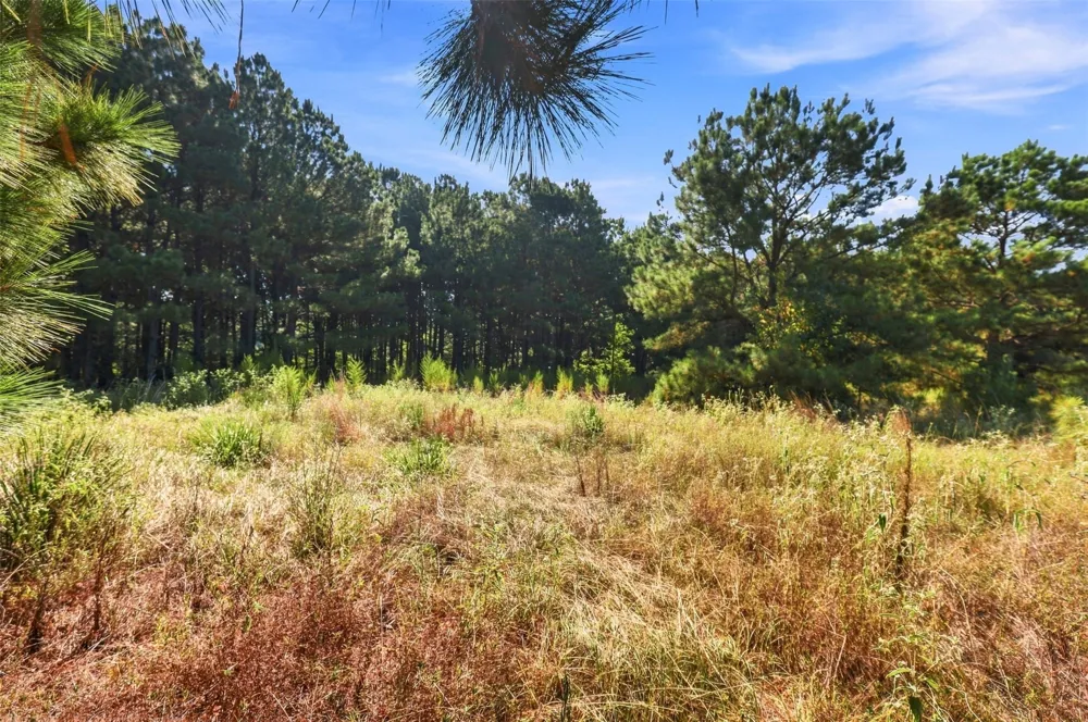 1500 FM 130 Daingerfield, TX 75638