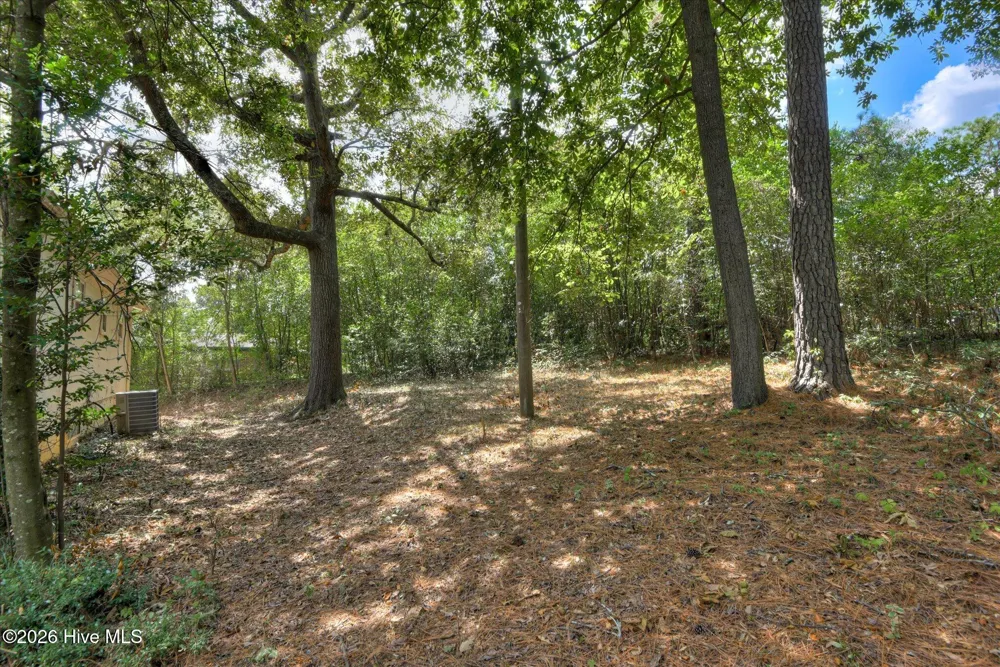 3513 Byron Place Augusta, GA 30906