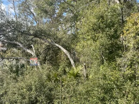 Malauka Cir Circle