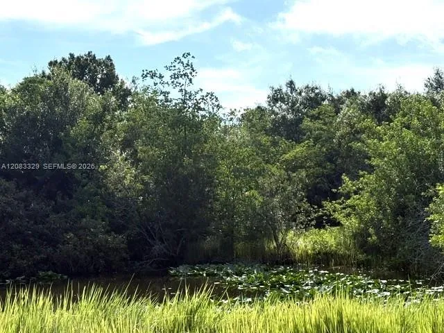2524 Gem Stone Ave Lorida, FL 33857