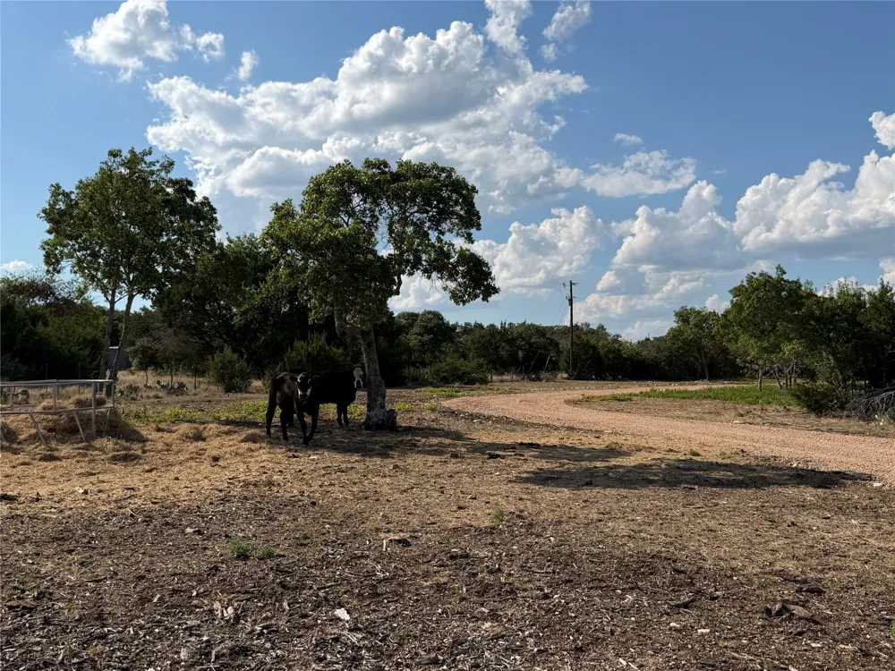 7257 CR 252 Bertram, TX 78605