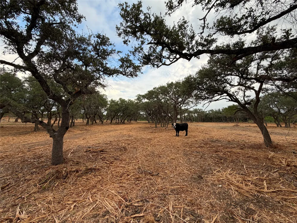 7257 CR 252 Bertram, TX 78605