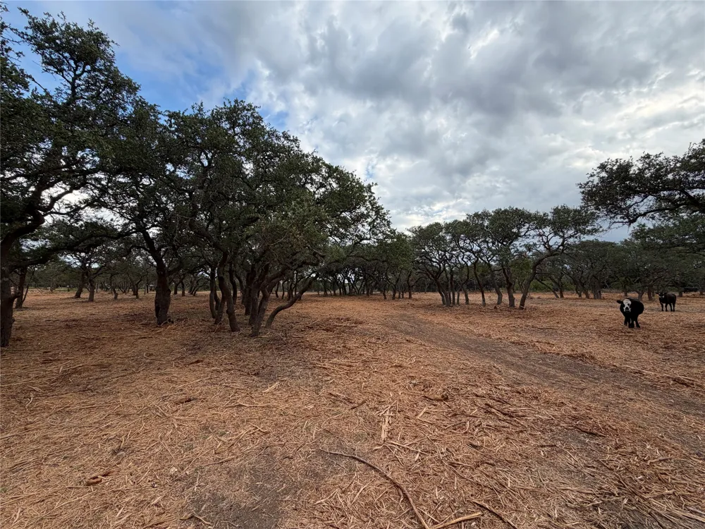 7257 CR 252 Bertram, TX 78605