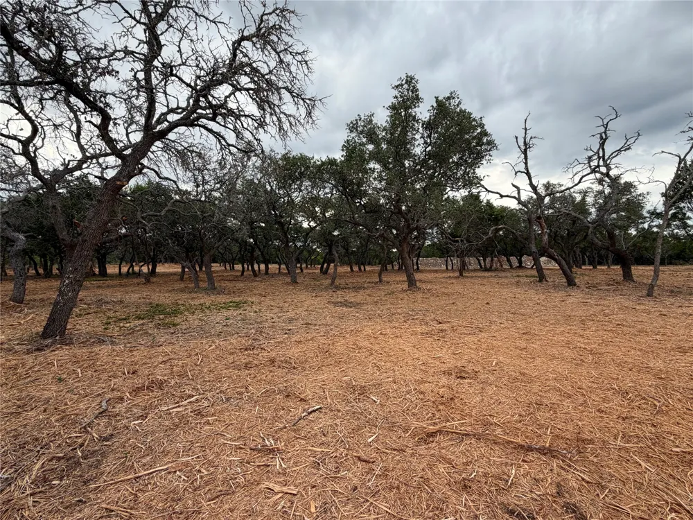 7257 CR 252 Bertram, TX 78605