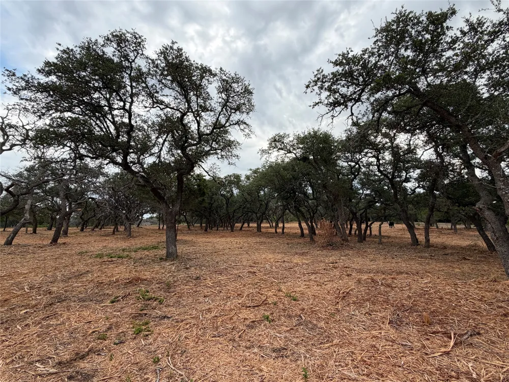 7257 CR 252 Bertram, TX 78605