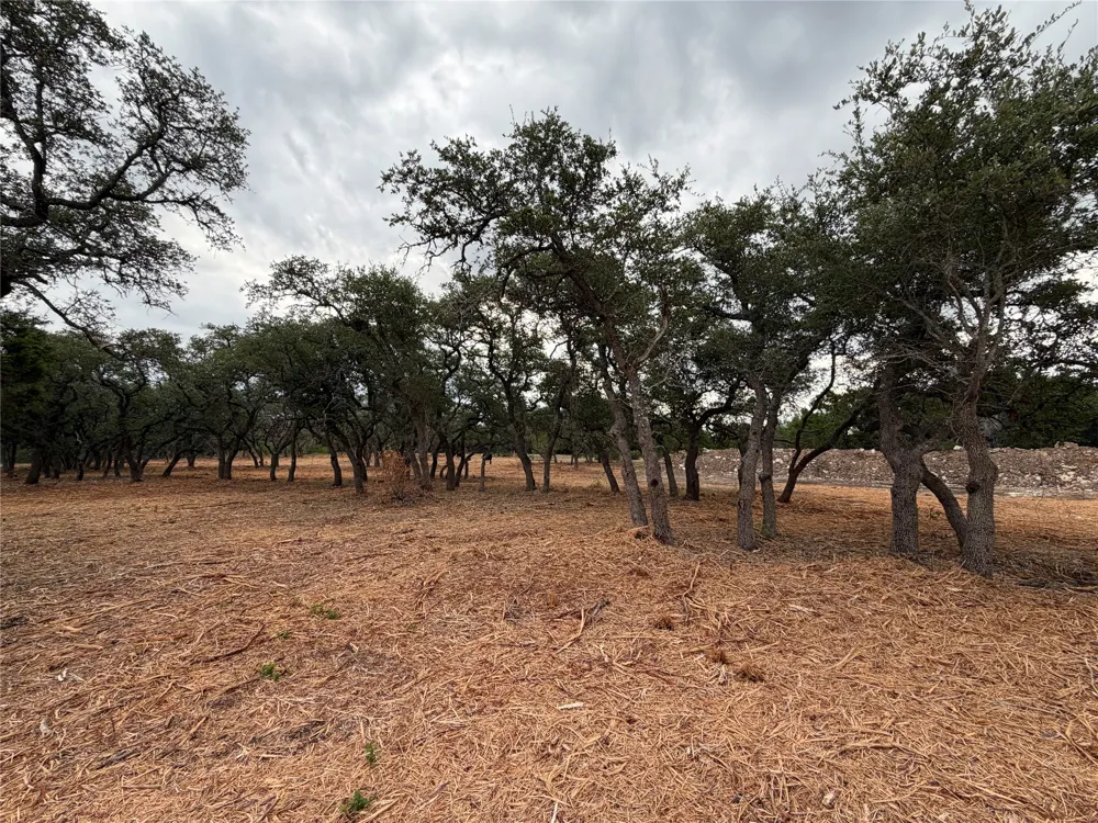 7257 CR 252 Bertram, TX 78605