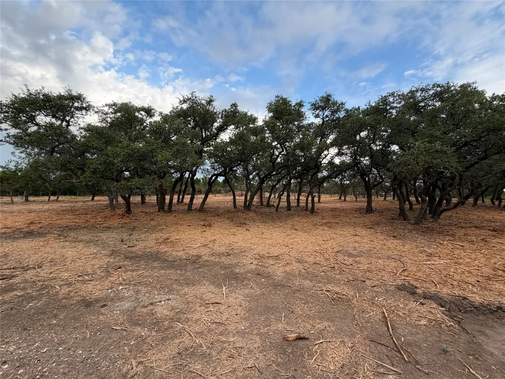 7257 CR 252 Bertram, TX 78605