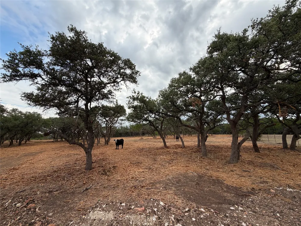 7257 CR 252 Bertram, TX 78605