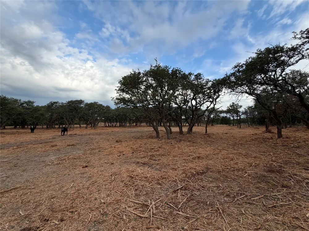 7257 CR 252 Bertram, TX 78605