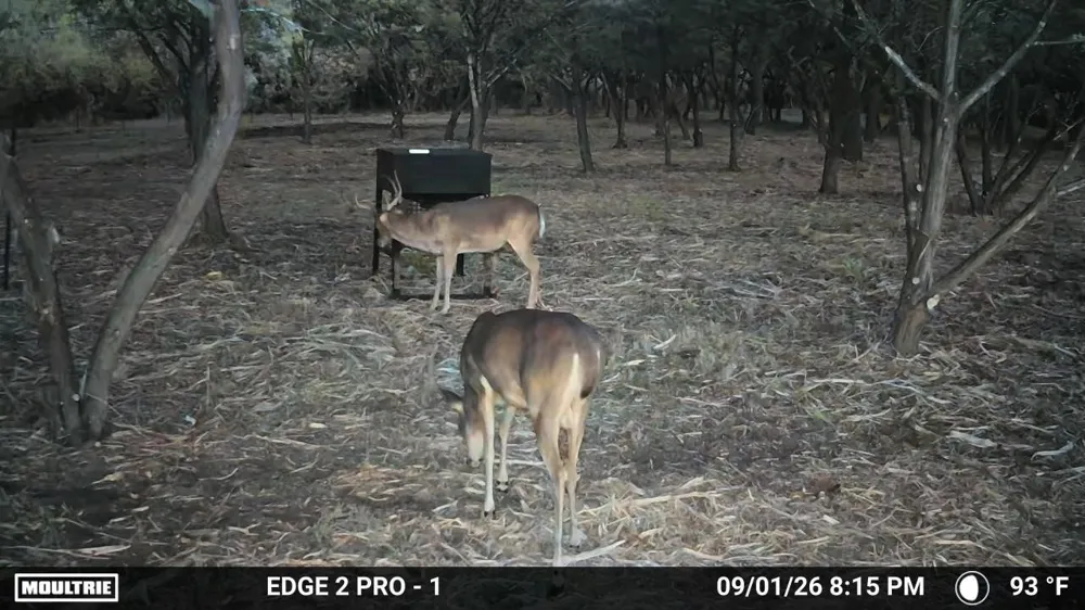 7257 CR 252 Bertram, TX 78605