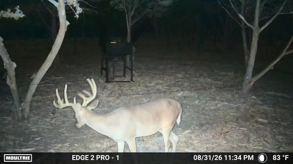 7257 CR 252 Bertram, TX 78605