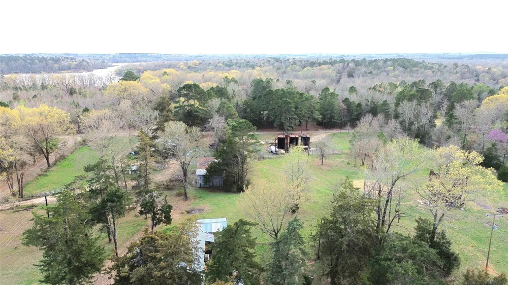 CR 3545 Leesburg, TX 75451