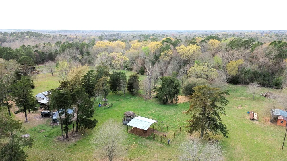CR 3545 Leesburg, TX 75451