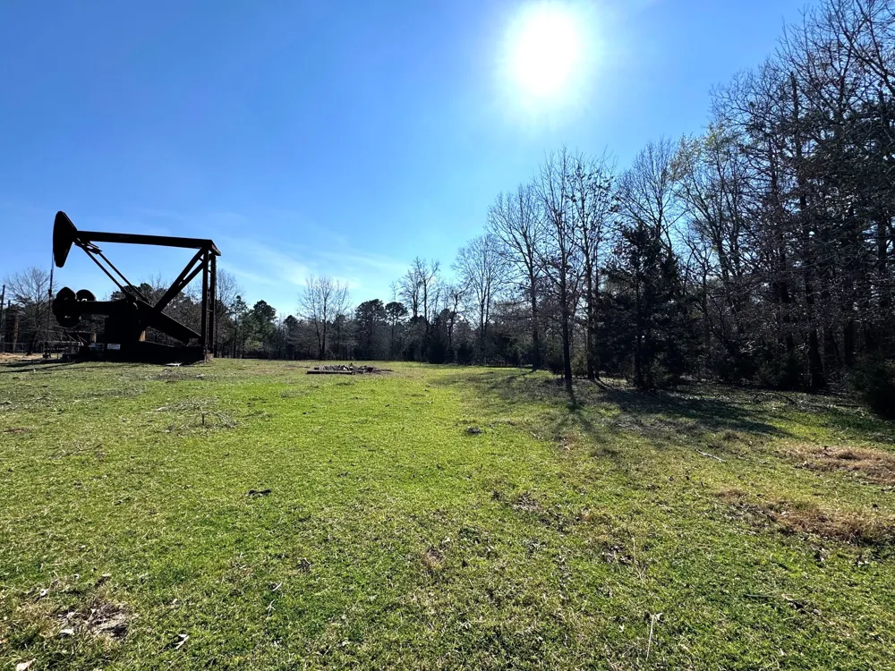 CR 3545 Leesburg, TX 75451