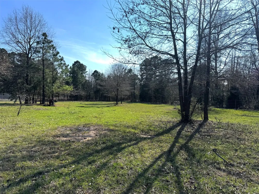 CR 3545 Leesburg, TX 75451