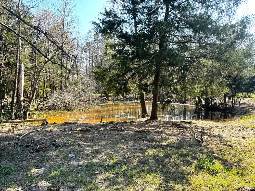 CR 3545 Leesburg, TX 75451