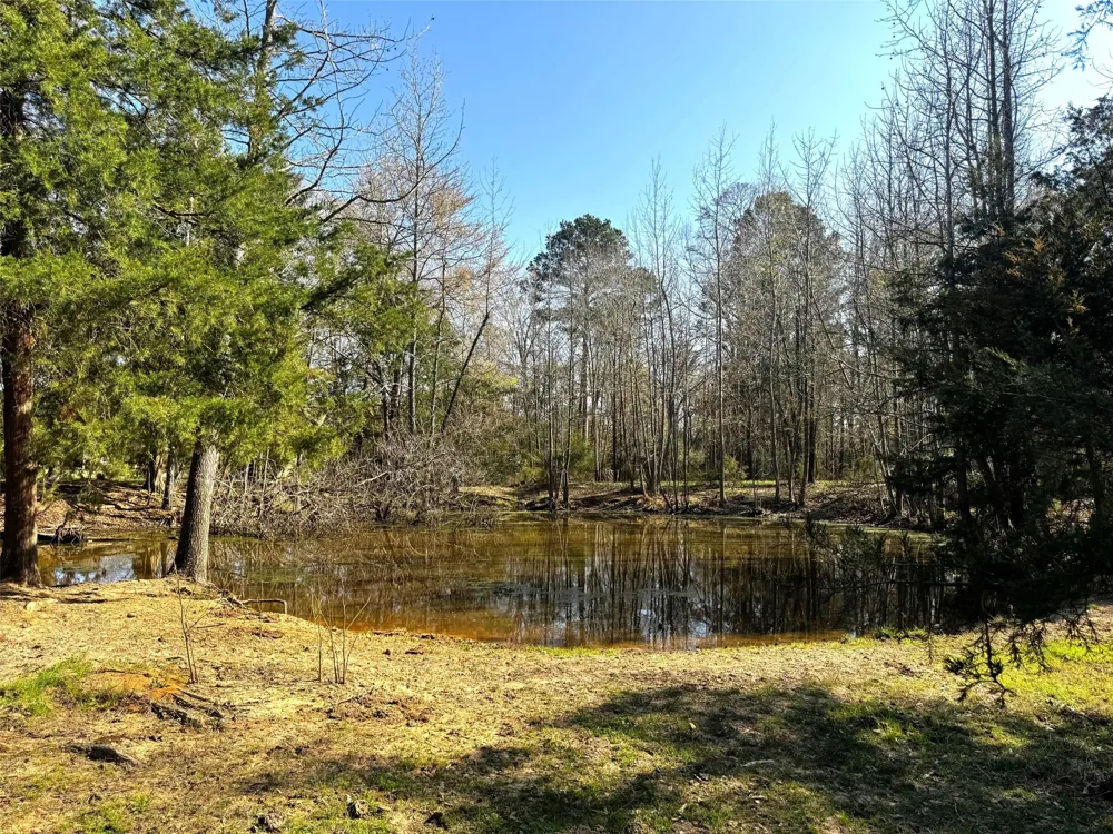 CR 3545 Leesburg, TX 75451